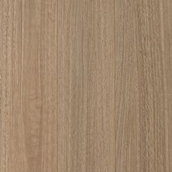 Drover Spotted Gum