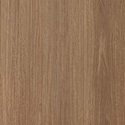 Honey Blackbutt