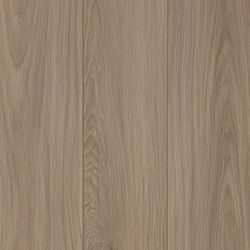 Midland Hickory