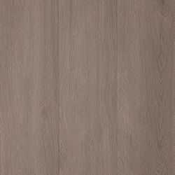 Mushroom Grey
