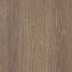 Pepper Spotted Gum