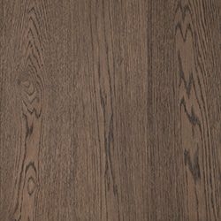 Havana Oak
