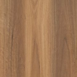 Alpine Spotted Gum