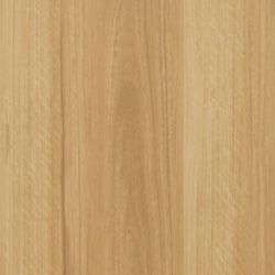 East Coast Blackbutt