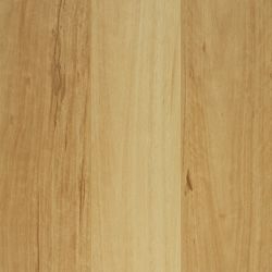 Blackbutt
